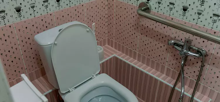 Meeting Diverse Needs With Accessible Restroom Solutions in Danville, IL